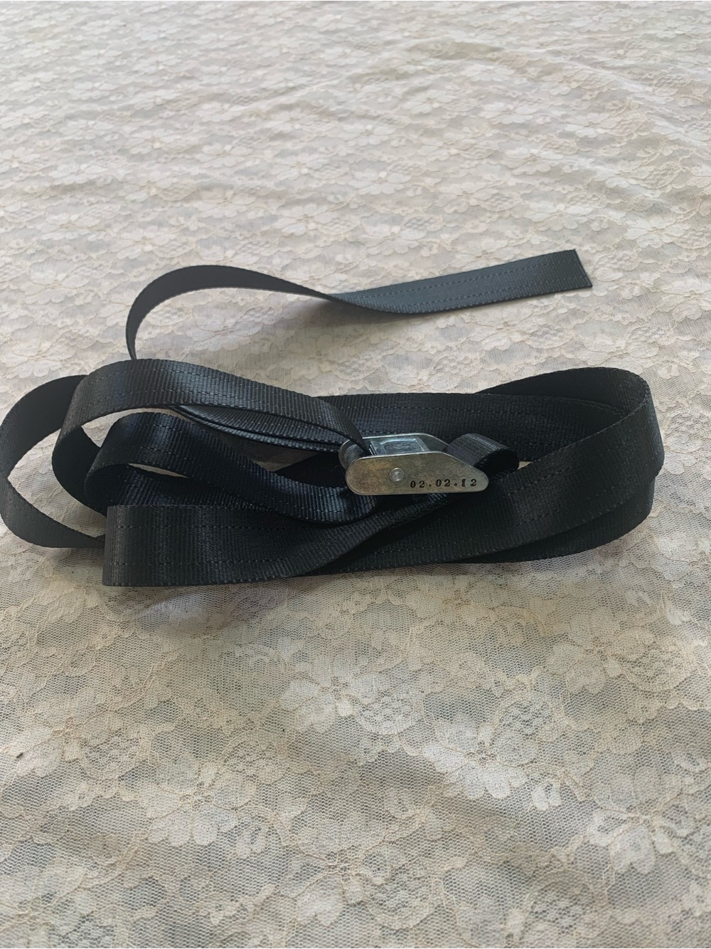 Black Cam Buckle Tie-Down Strap